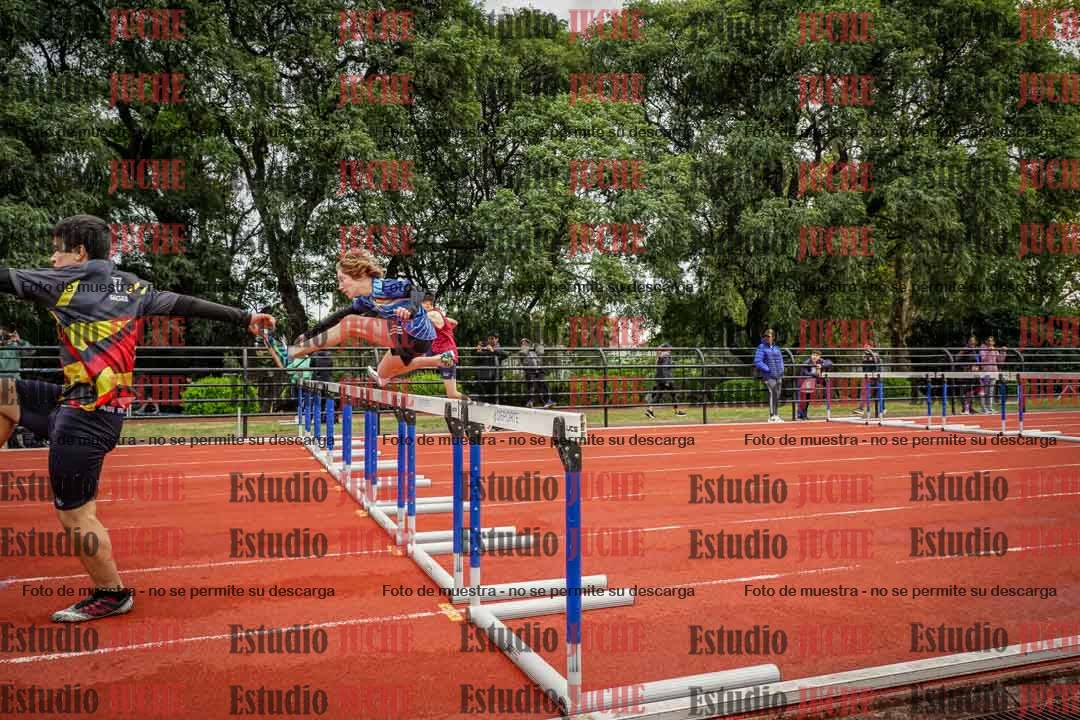 Fotos de los 110 m con vallas de varones