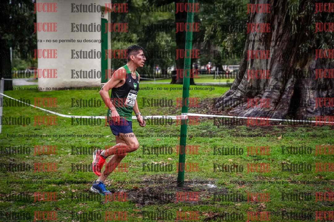Fotos en el circuito