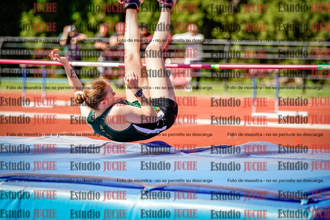Fotos del salto en alto