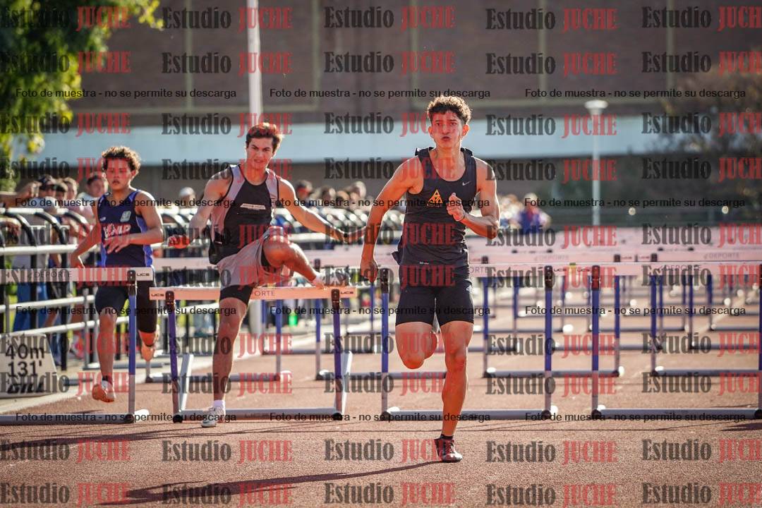 Fotos de los 110 m con vallas de varones