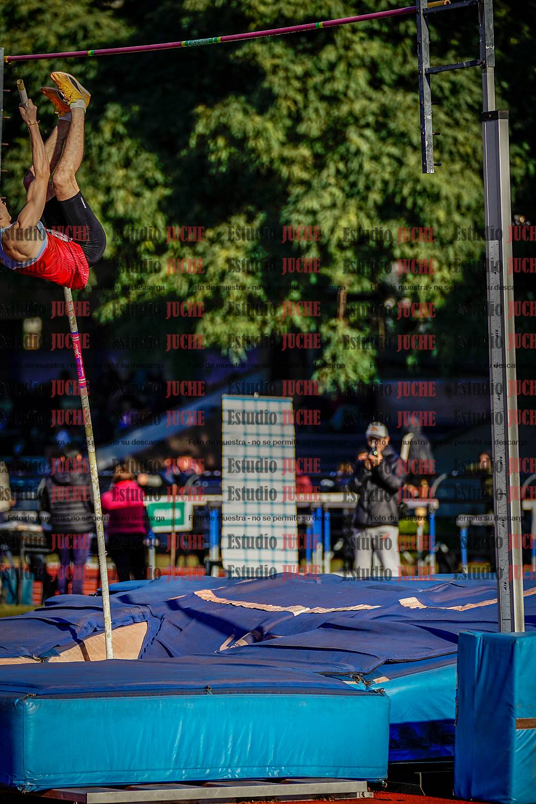 Fotos del salto con garrocha de varones
