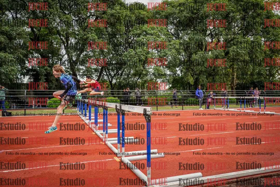 Fotos de los 110 m con vallas de varones
