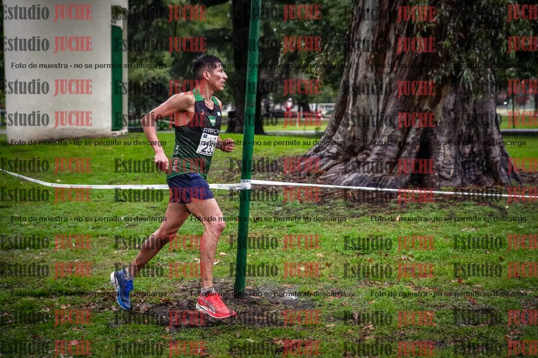 Fotos en el circuito