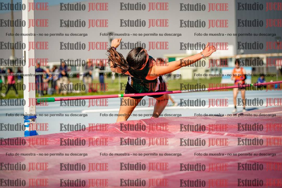 Fotos del salto en alto de mujeres - heptatlón 2