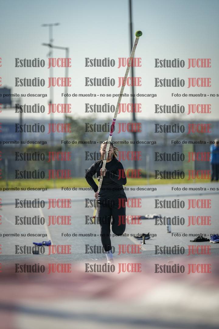 Fotos del salto con garrocha de mujeres y varones