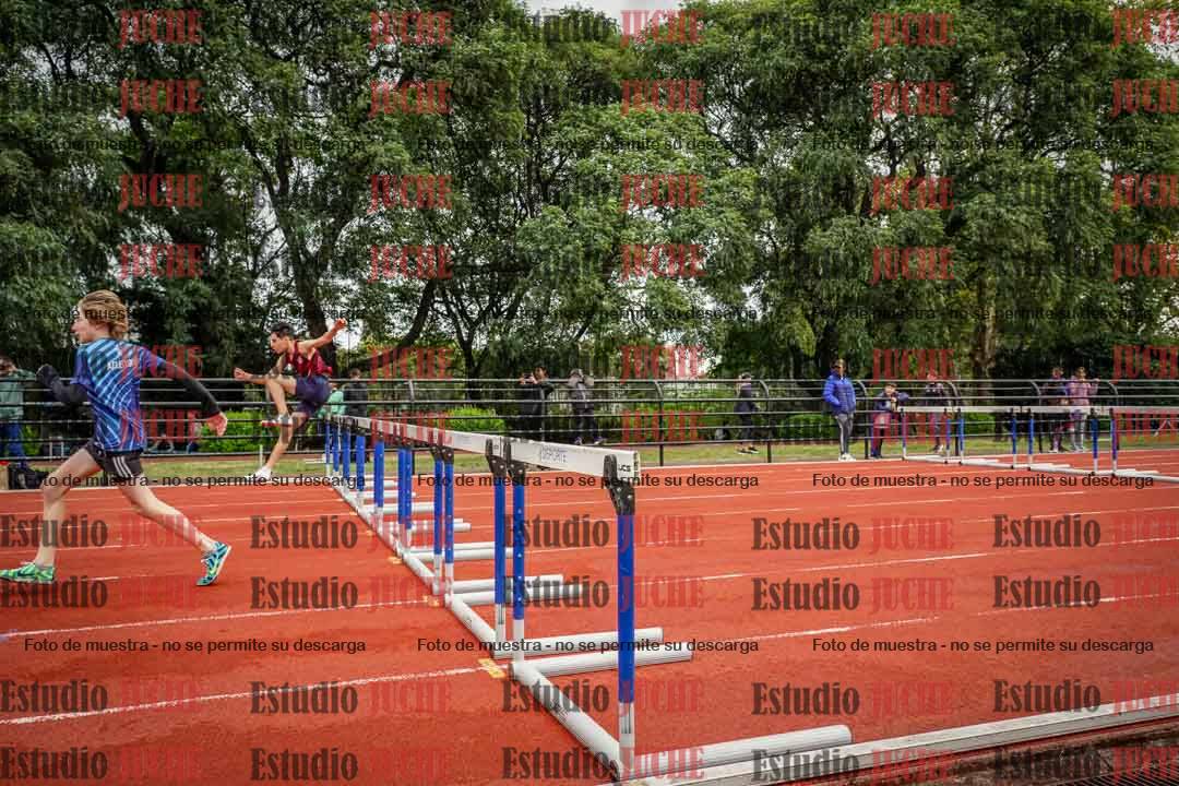 Fotos de los 110 m con vallas de varones