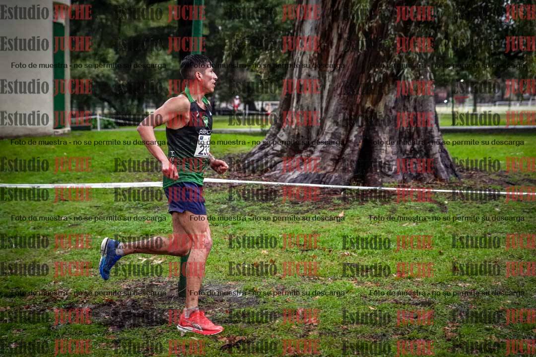 Fotos en el circuito