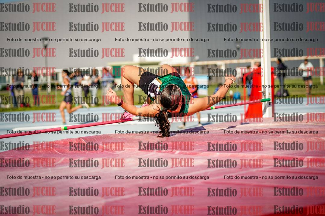 Fotos del salto en alto de mujeres - heptatlón 2