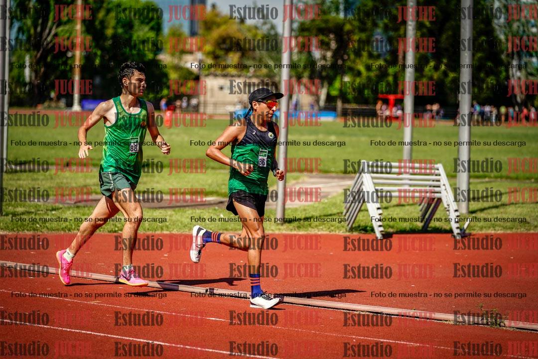 Fotos de los 5000 m llanos