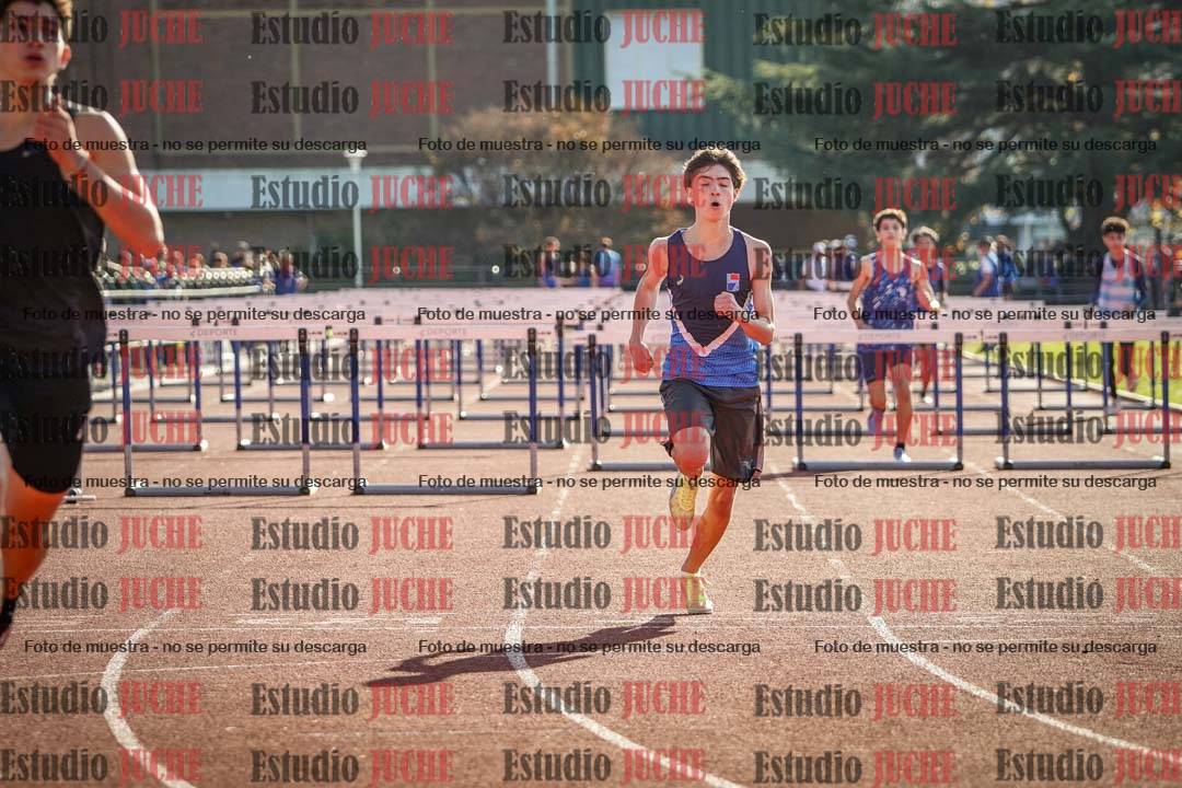 Fotos de los 110 m con vallas de varones