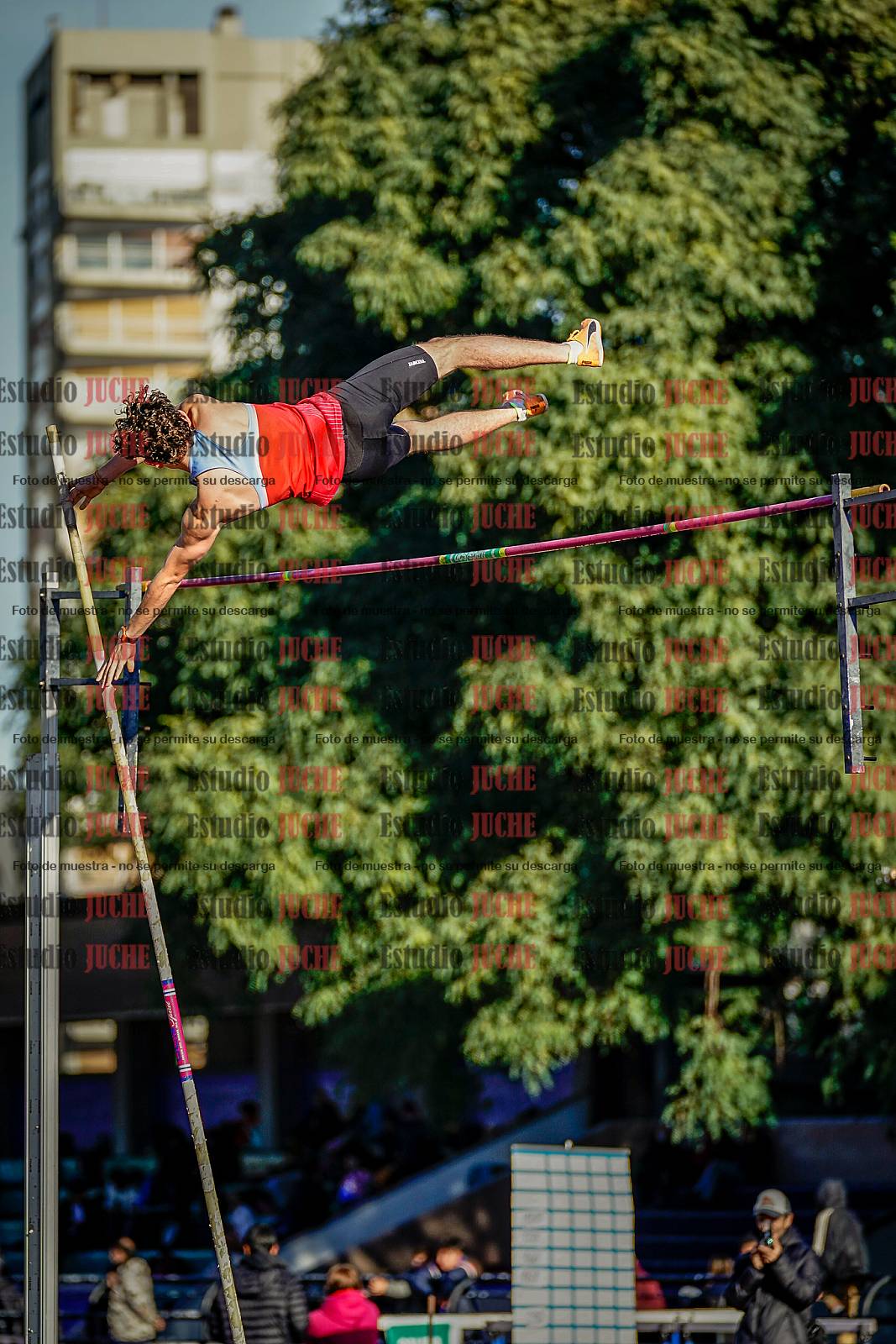 Fotos del salto con garrocha de varones