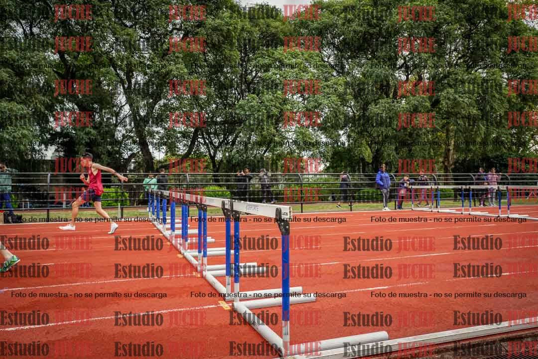 Fotos de los 110 m con vallas de varones