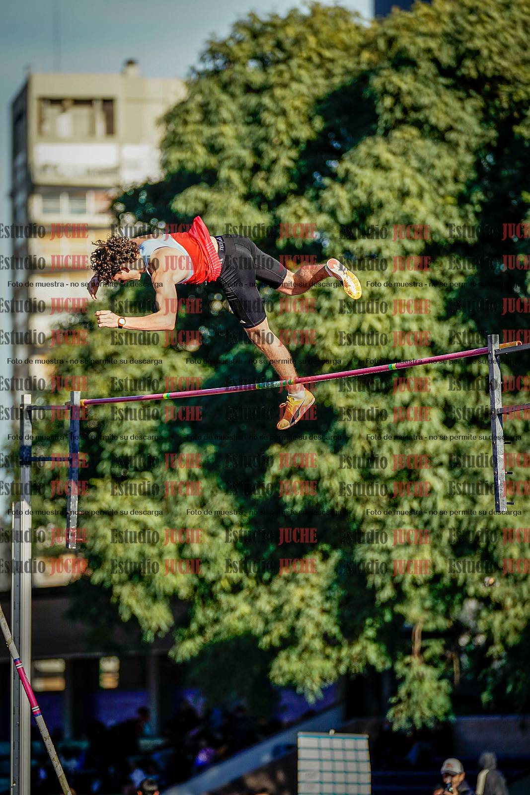 Fotos del salto con garrocha de varones