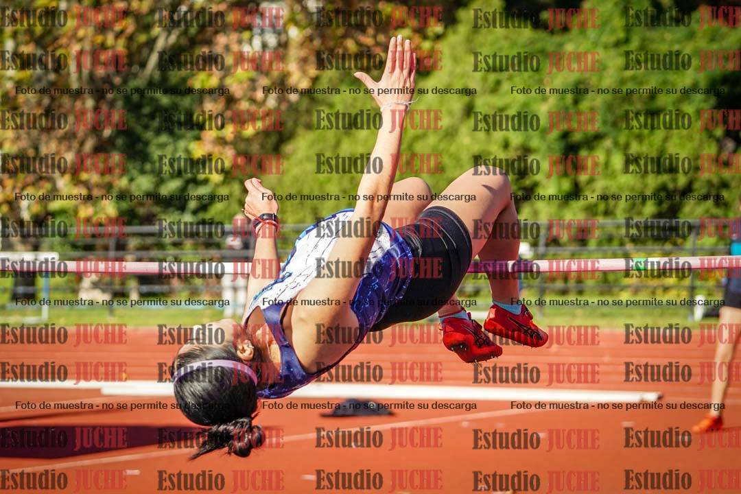 Fotos del salto en alto