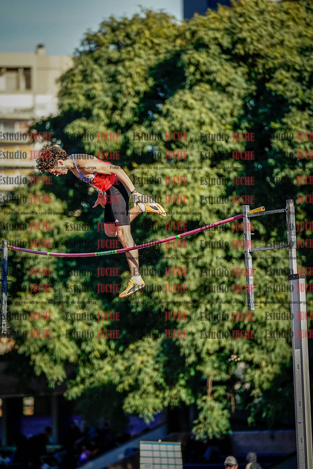 Fotos del salto con garrocha de varones