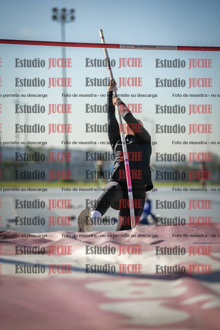 Fotos del salto con garrocha de mujeres y varones