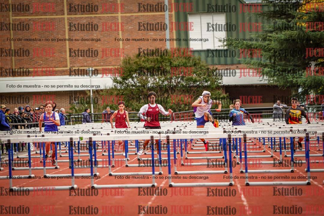 Fotos de los 110 m con vallas de varones