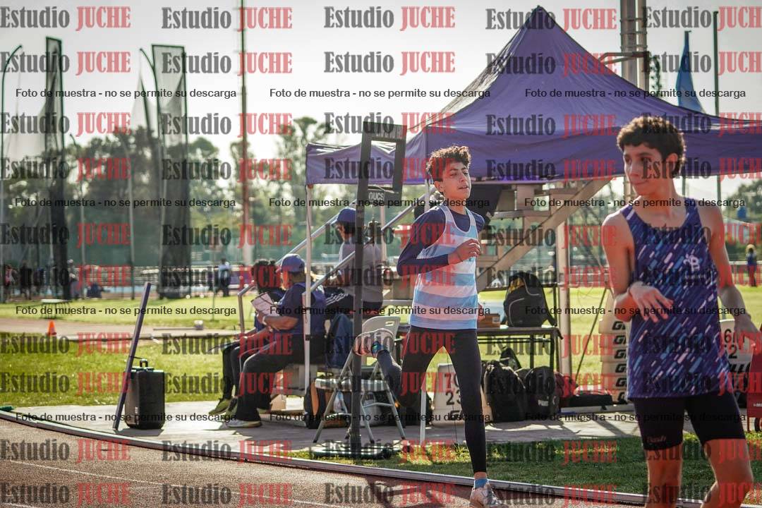 Fotos de los 110 m con vallas de varones
