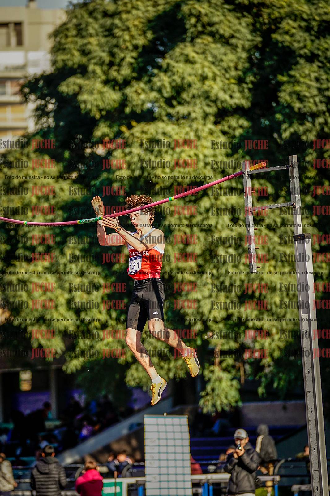 Fotos del salto con garrocha de varones