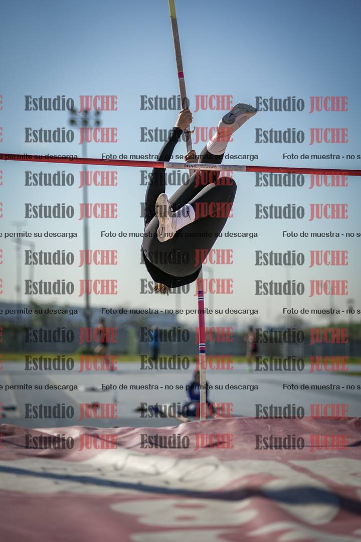 Fotos del salto con garrocha de mujeres y varones