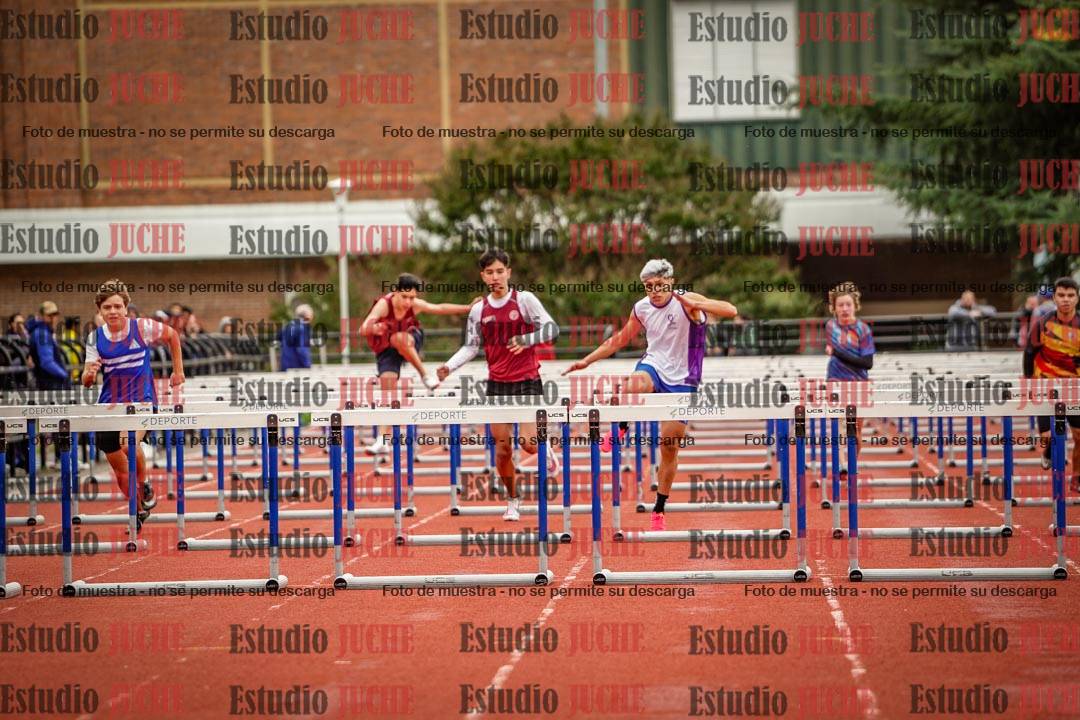 Fotos de los 110 m con vallas de varones