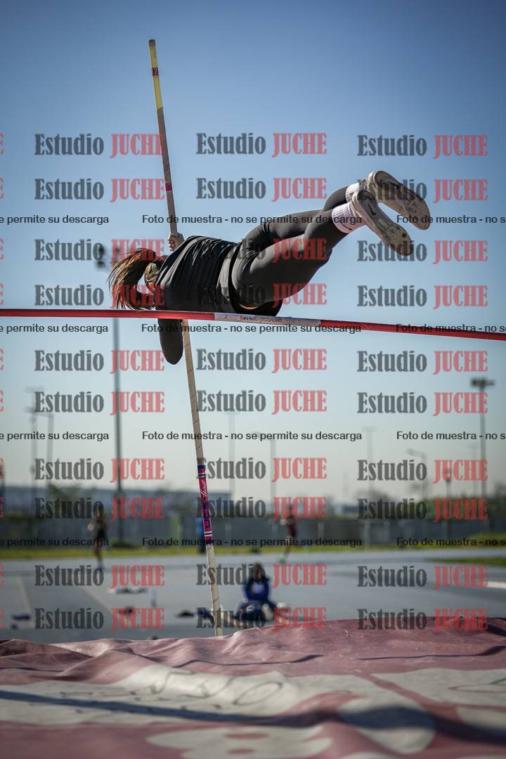 Fotos del salto con garrocha de mujeres y varones