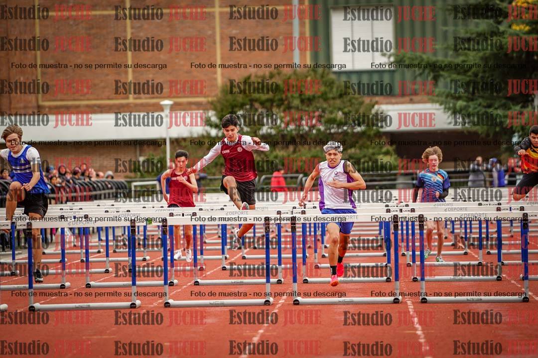 Fotos de los 110 m con vallas de varones