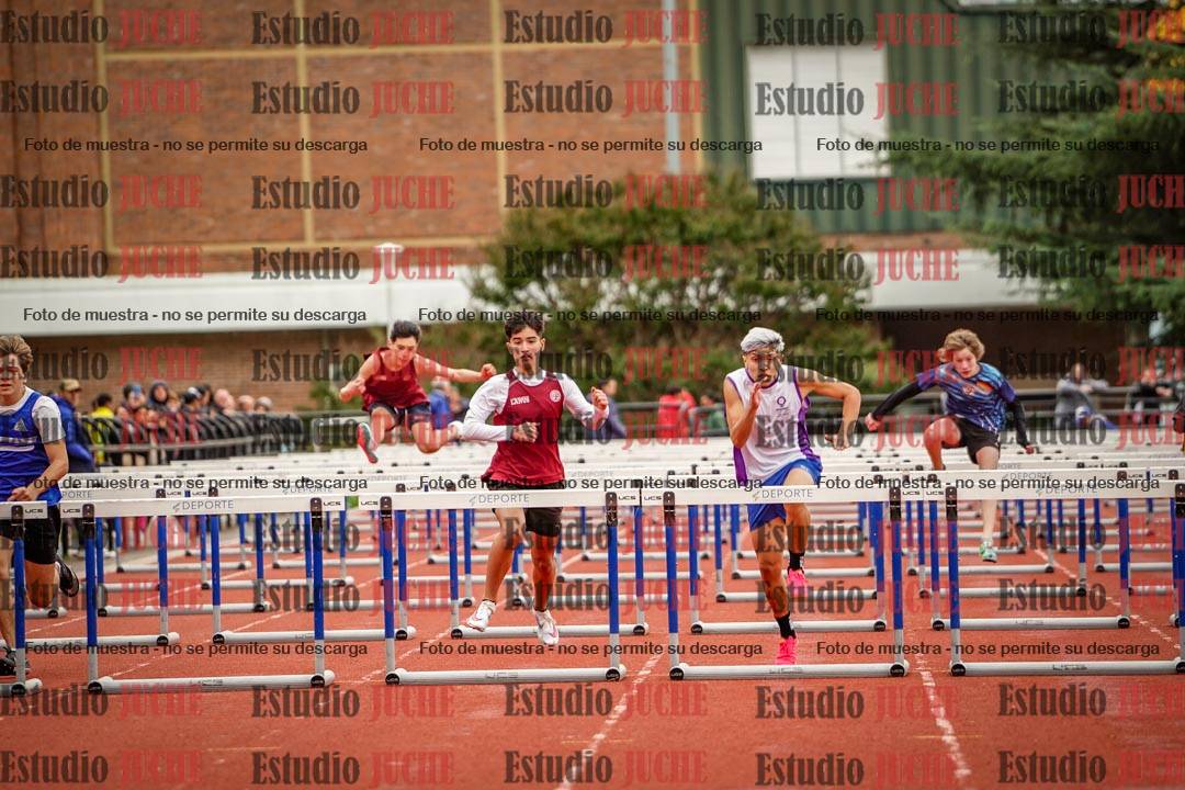 Fotos de los 110 m con vallas de varones