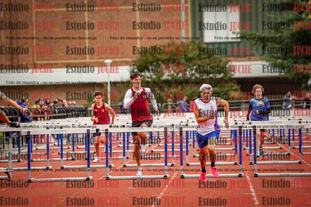 Fotos de los 110 m con vallas de varones