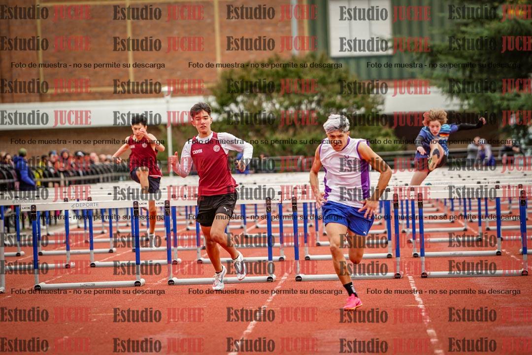 Fotos de los 110 m con vallas de varones