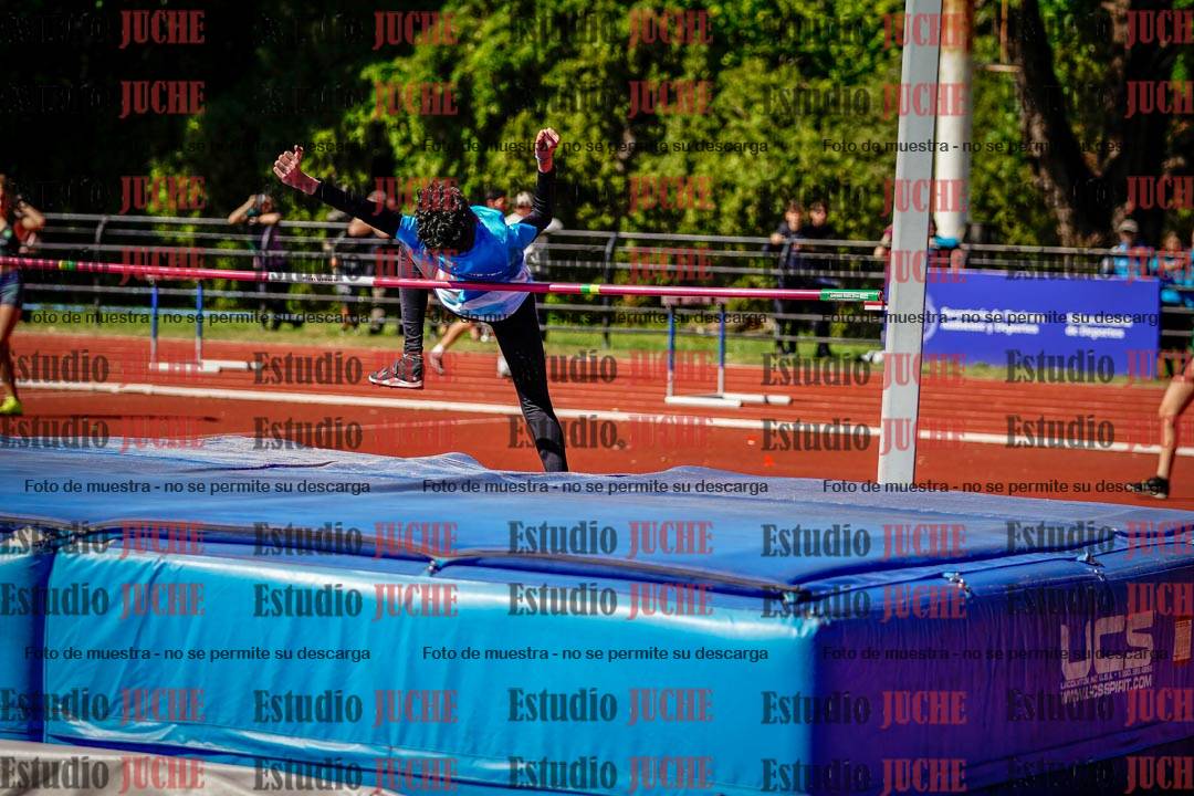 Fotos del salto en alto