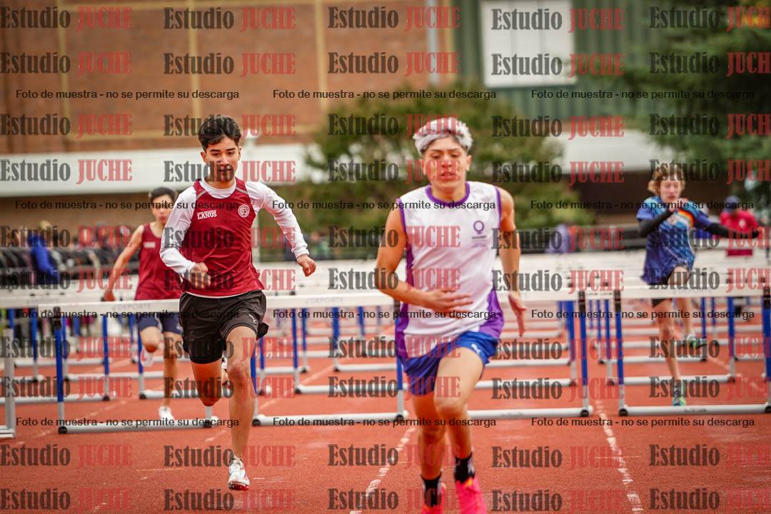 Fotos de los 110 m con vallas de varones