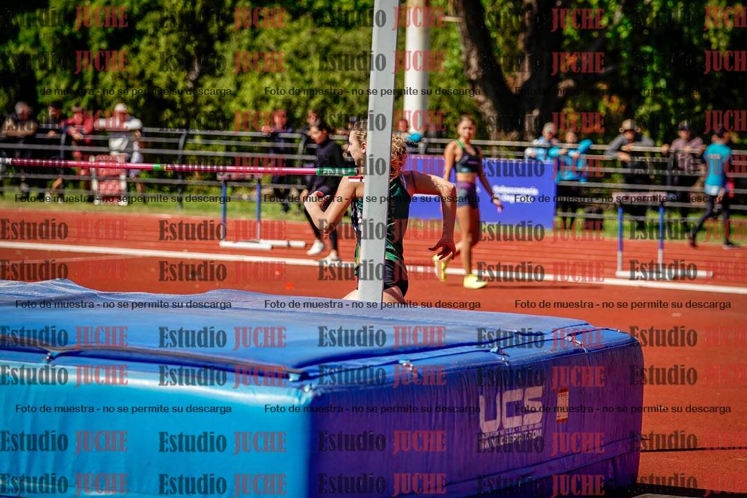 Fotos del salto en alto