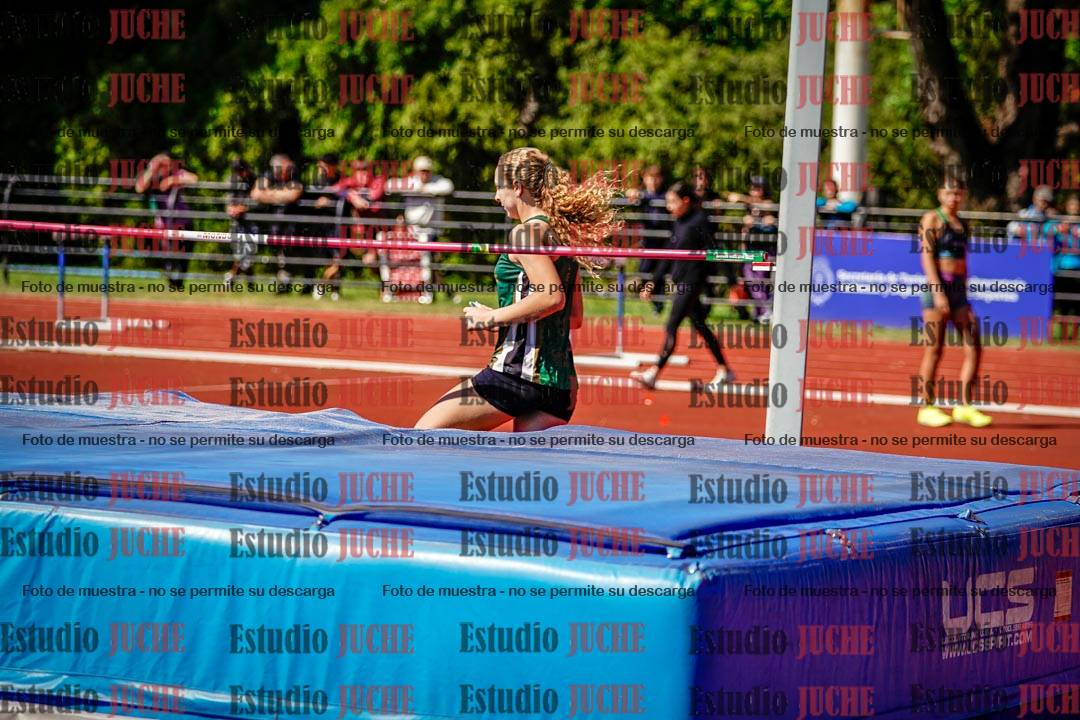 Fotos del salto en alto