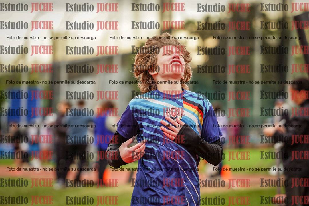 Fotos de los 110 m con vallas de varones