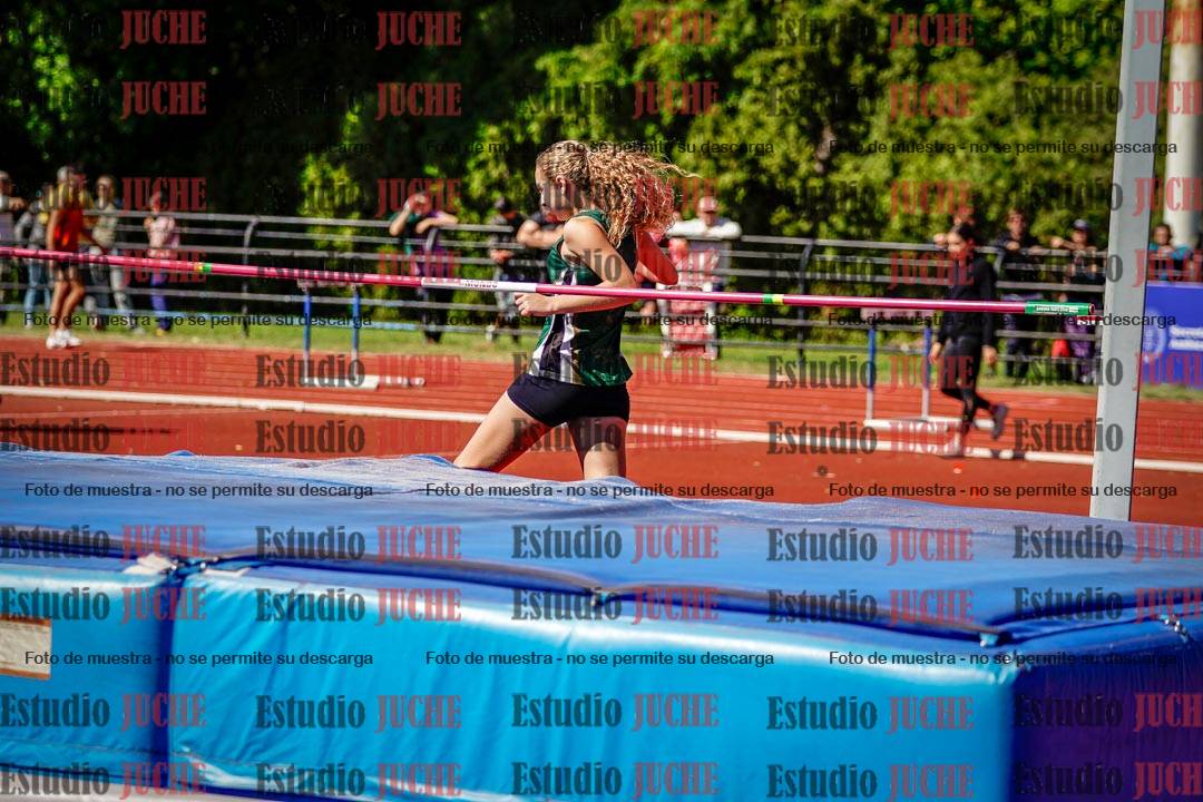 Fotos del salto en alto