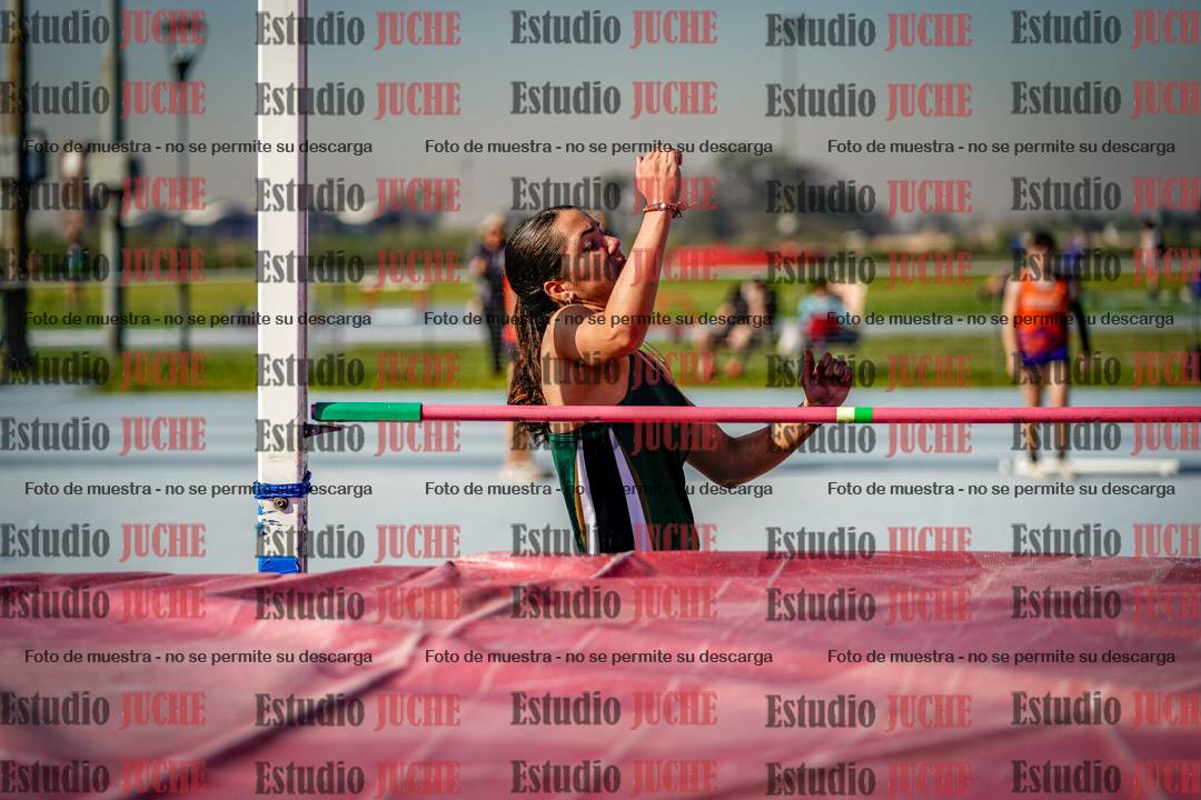 Fotos del salto en alto de mujeres - heptatlón 2