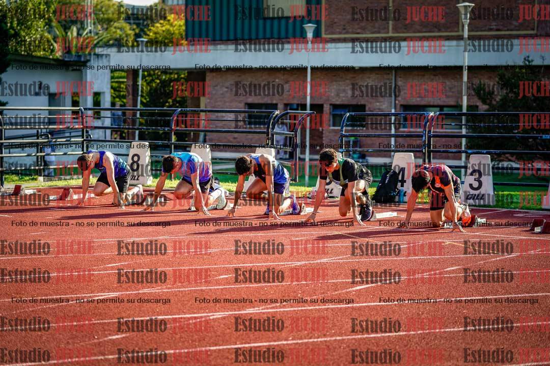 Fotos de los 110 m con vallas de varones