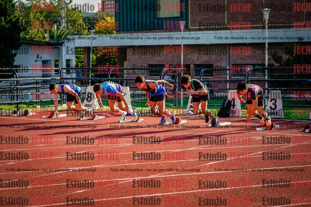 Fotos de los 110 m con vallas de varones