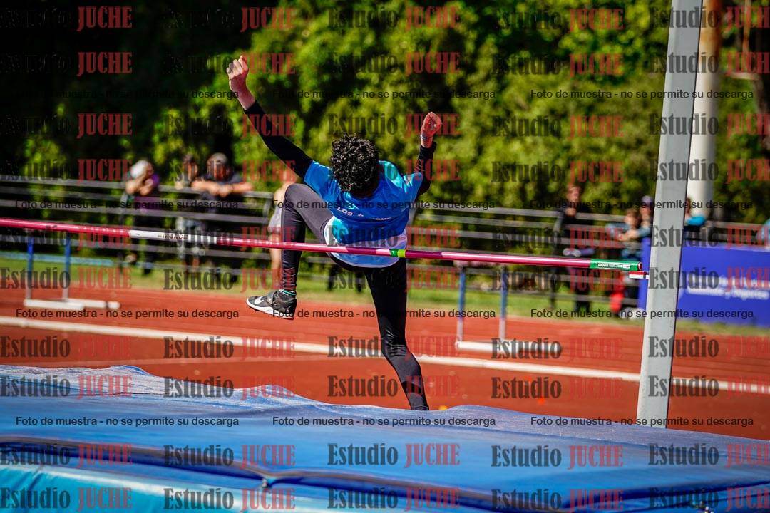 Fotos del salto en alto