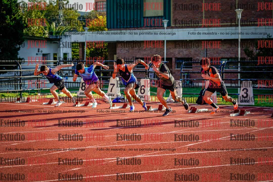 Fotos de los 110 m con vallas de varones