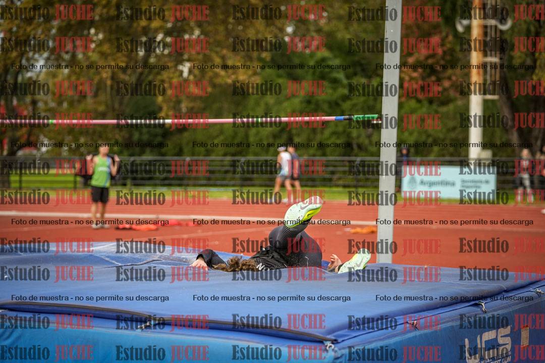 Fotos del salto en alto de varones
