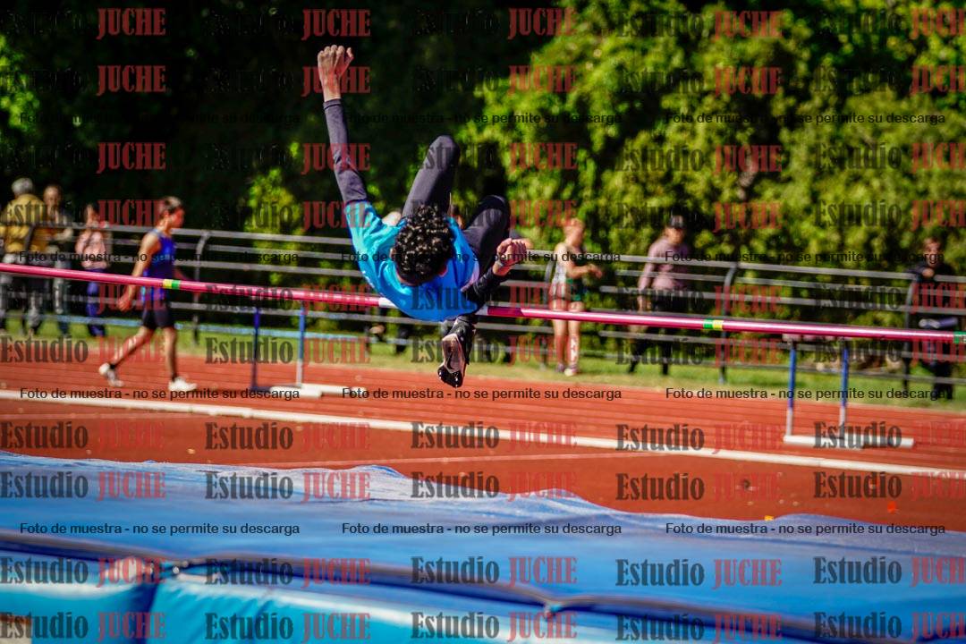 Fotos del salto en alto