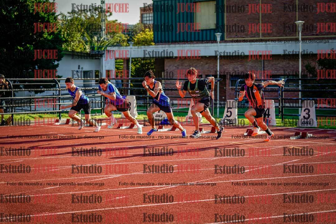Fotos de los 110 m con vallas de varones