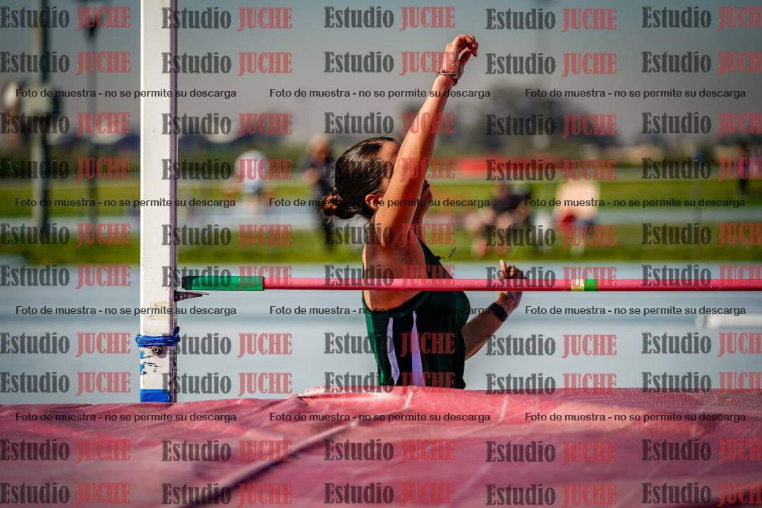 Fotos del salto en alto de mujeres - heptatlón 2