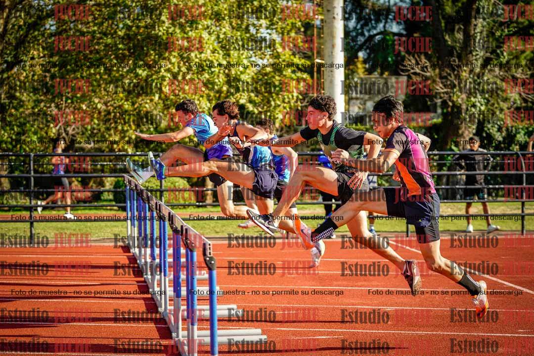 Fotos de los 110 m con vallas de varones
