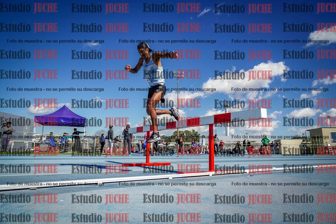 Fotos de los 3000 m con obstáculos de varones
