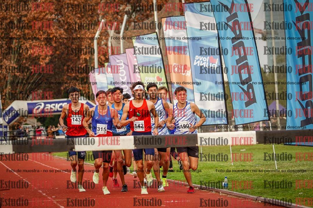 Fotos de los 3000 m con obstáculos de varones