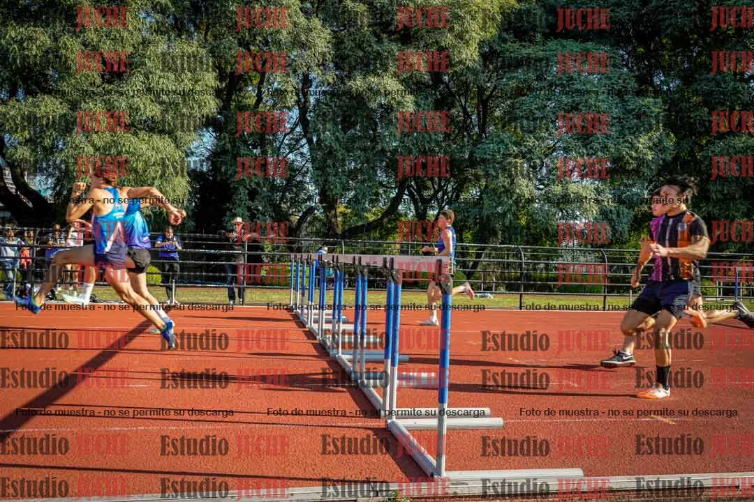 Fotos de los 110 m con vallas de varones