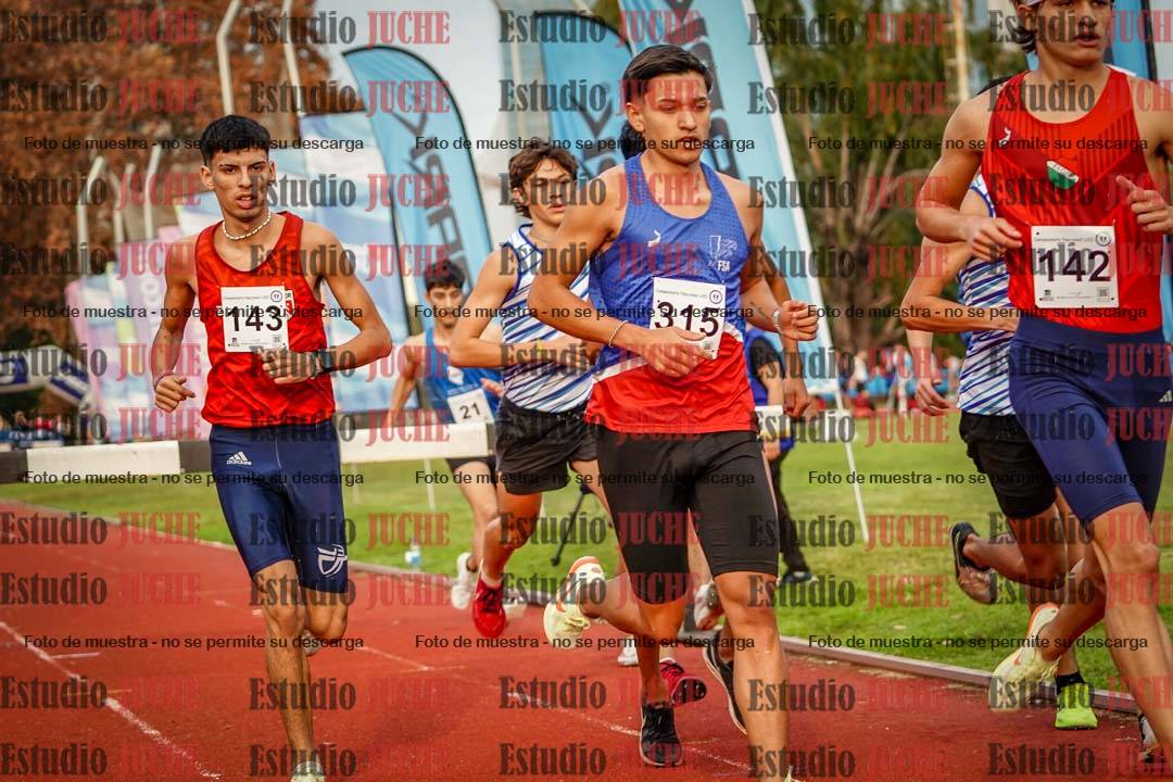 Fotos de los 3000 m con obstáculos de varones